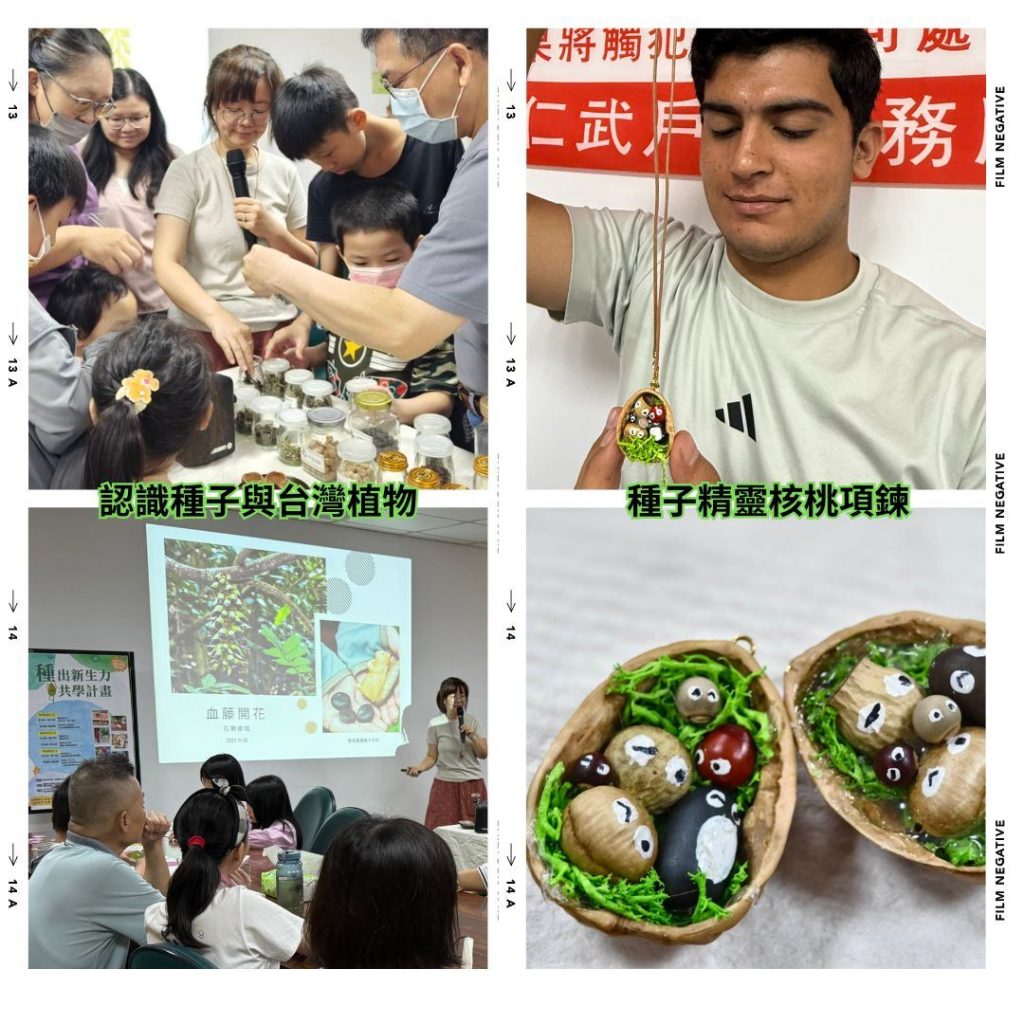 認識種子與台灣植物 - 報新聞 Mega News
