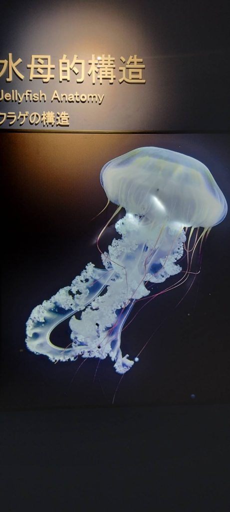 1757387145818 461x1024 1