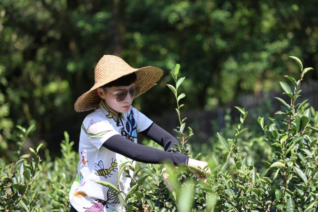 %E6%96%B0%E5%8C%97%E5%BD%B1%E9%9F%BF%E5%8A%9B%E4%B9%8B%E6%89%93%E9%80%A0%E6%B0%B8%E7%BA%8C%E8%8C%B6%E5%93%81%E7%89%8C%E7%9A%84%E6%9C%89%E6%A9%9F%E8%8C%B6%E8%BE%B2%E2%80%94%E6%B4%AA%E4%BD%B3%E7%8E%89%EF%BC%8C%E5%A0%85%E6%8C%81%E8%87%AA%E7%84%B6%E8%BE%B2%E6%B3%95%EF%BC%8C%E5%AF%A6%E8%B8%90%E5%8F%8B%E5%96%84%E5%9C%9F%E5%9C%B0%E7%90%86%E5%BF%B5