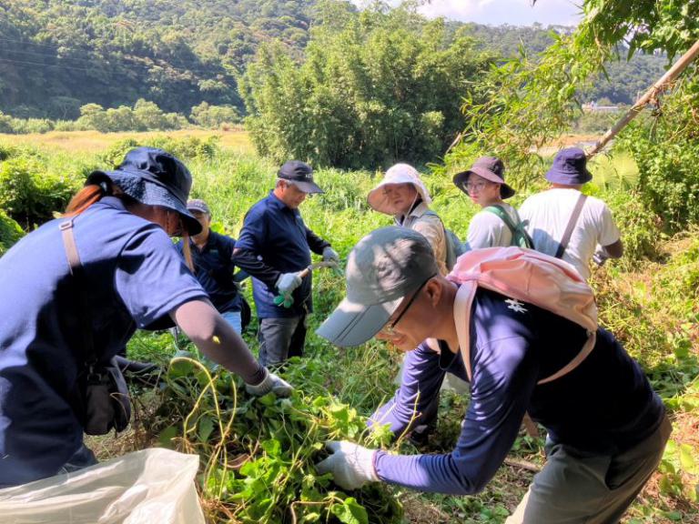 先下手為強! 防治月共下來挷小花蔓澤蘭 3 20250914153111 da317f83