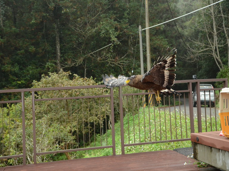 20180208223826 94777af8