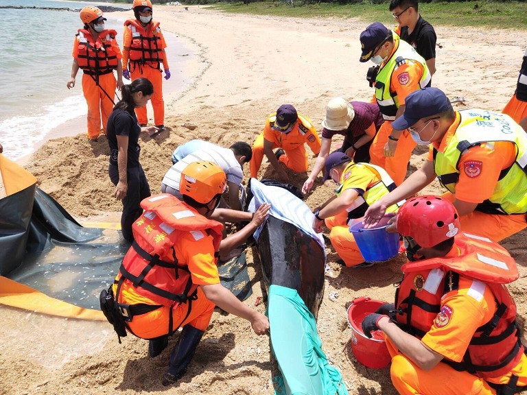 20200601084952 14740199