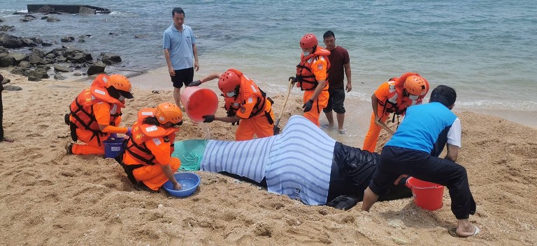 20200601085138 1cd6c188