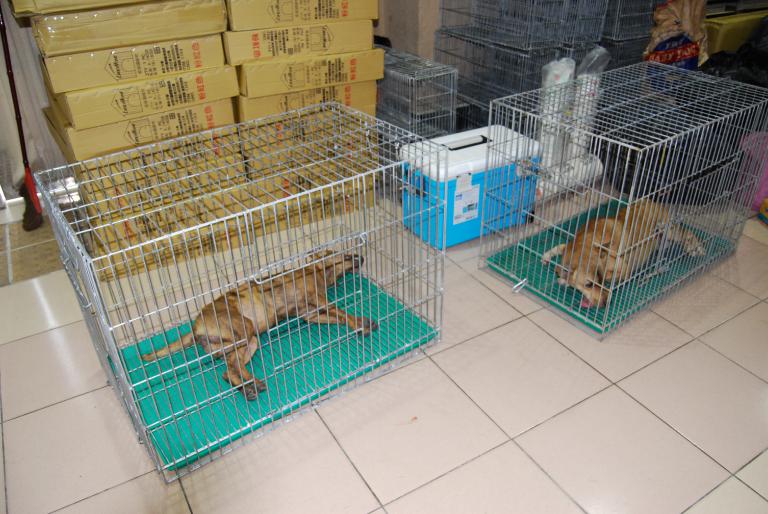 20200704204446 a0f1325d