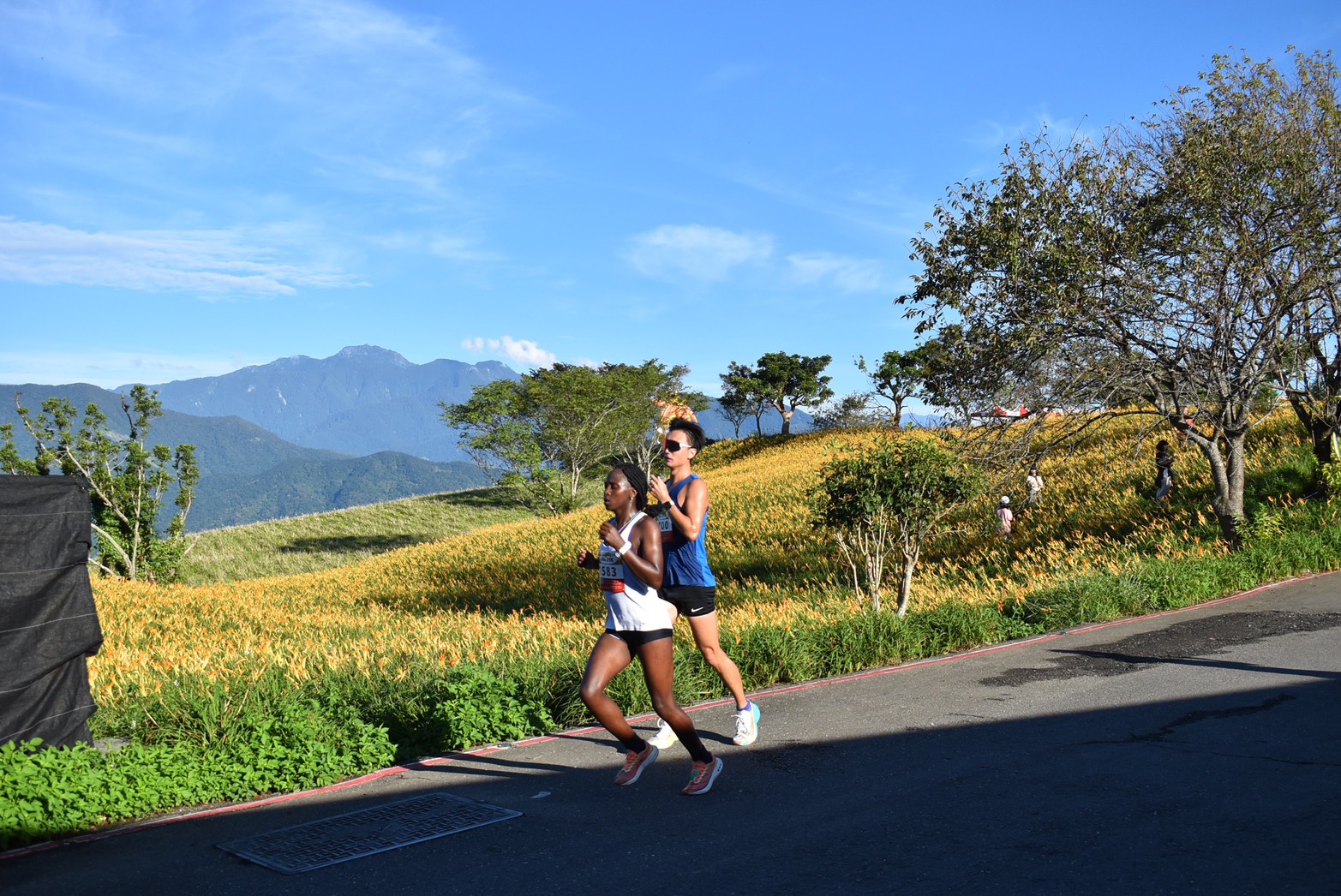 富里六十石山首辦馬拉松 逾2000名跑者挑戰花海賽道 富里六十石山首辦馬拉松 逾2000名跑者挑戰花海賽道