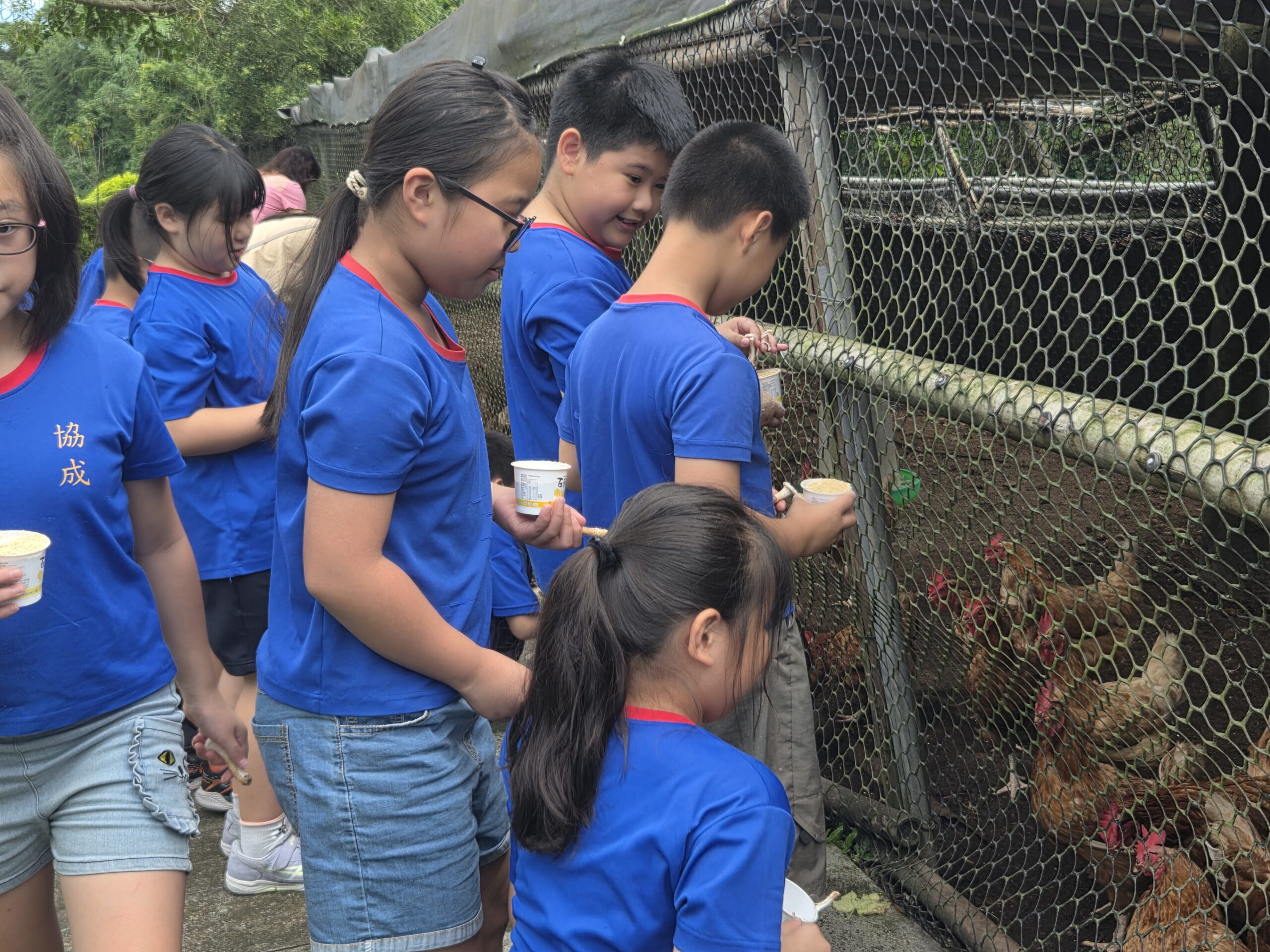 %E5%BE%AA%E7%92%B0%E8%BE%B2%E6%A5%AD%E6%A9%9F%E5%88%B6%E8%A7%A3%E8%AA%AA 0