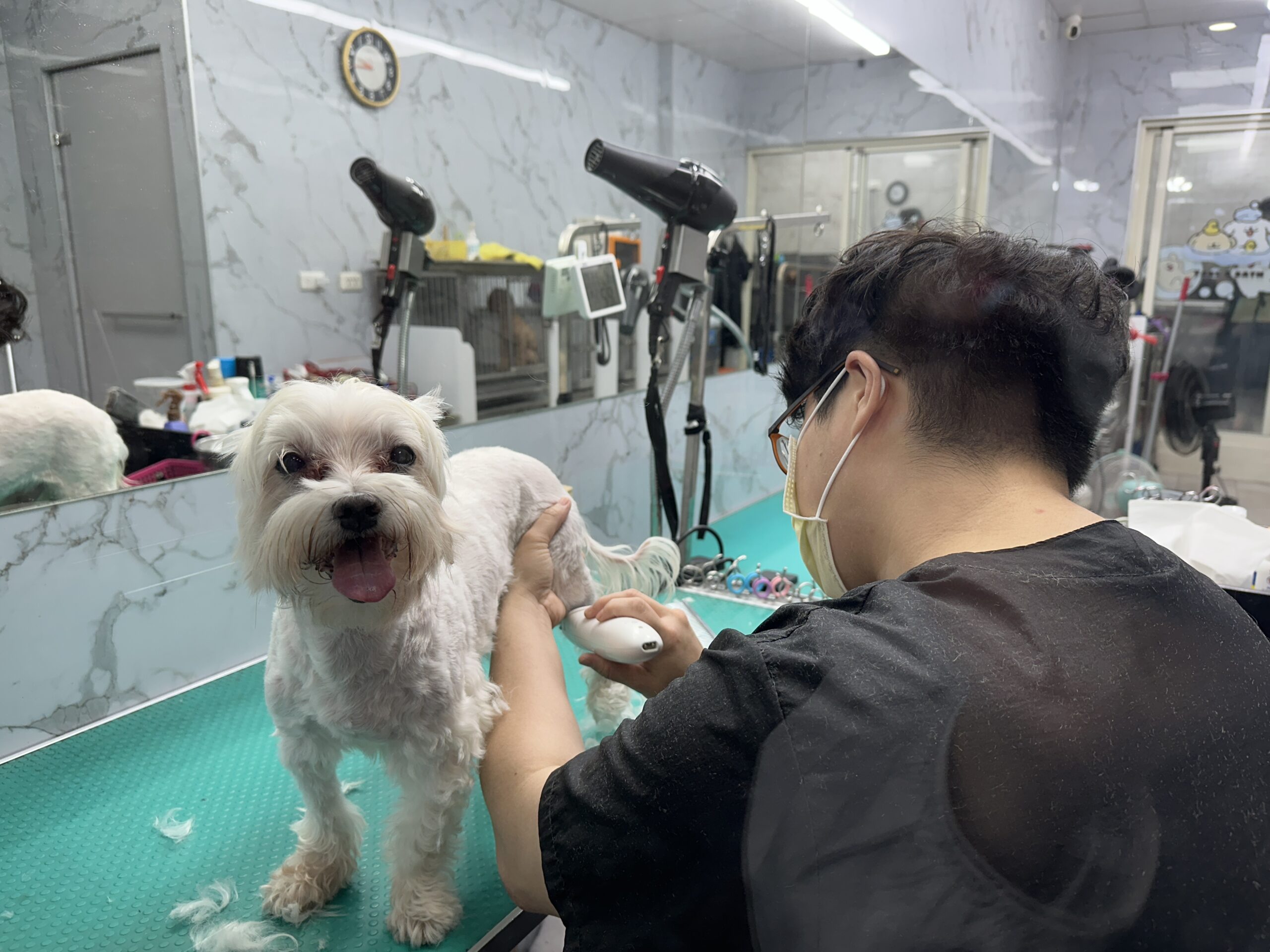 IMG 7053 0 0 1 scaled