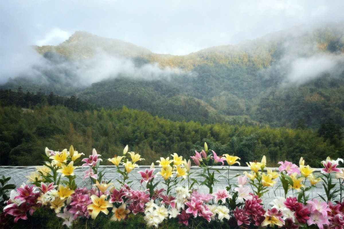 3 - 報新聞 Mega News 3 6 1