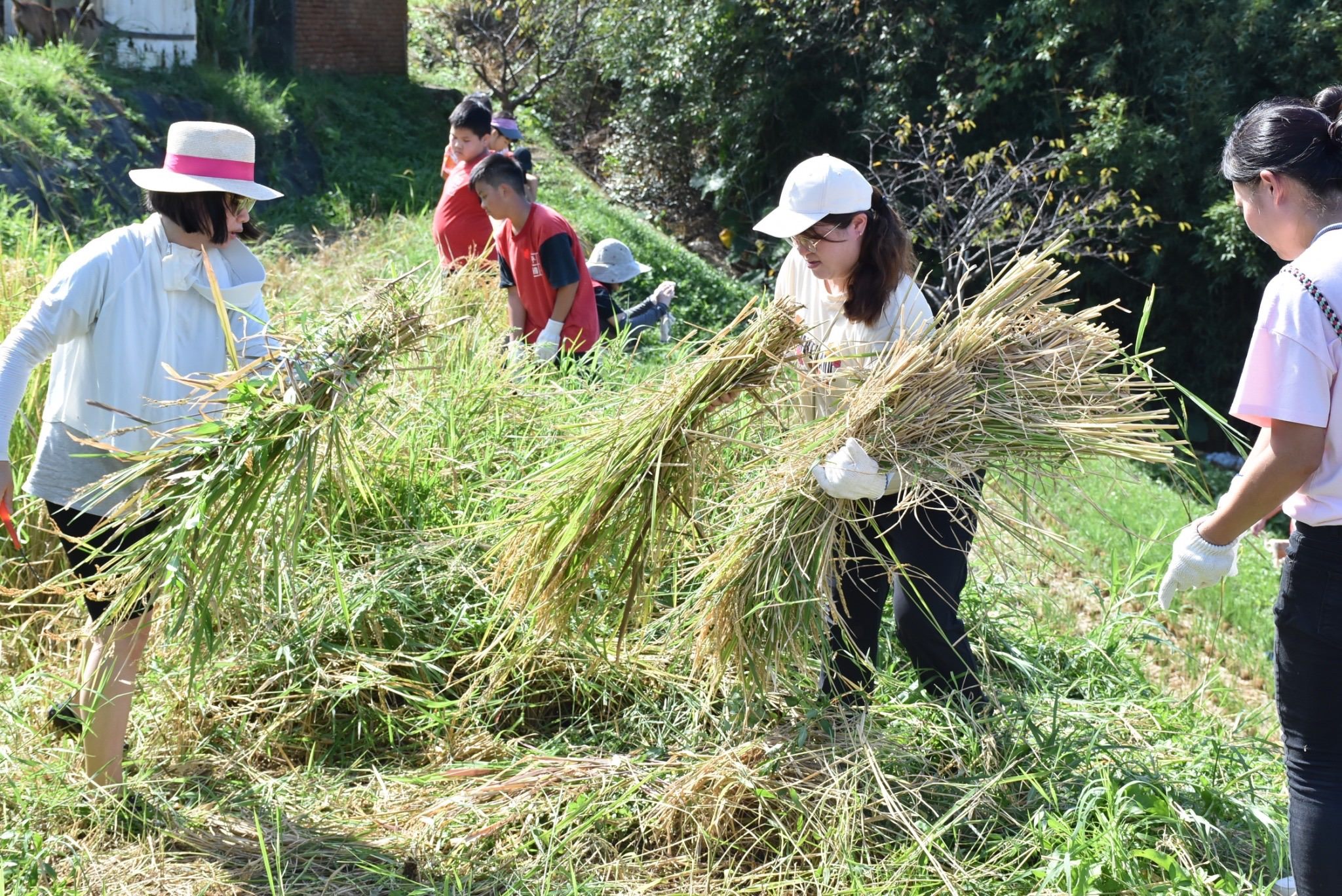 8372eeda e790 46de 806c 6c8e4394df67