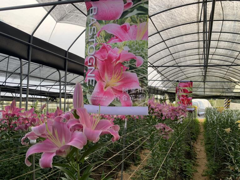 20250917204321 7f0a4a8c