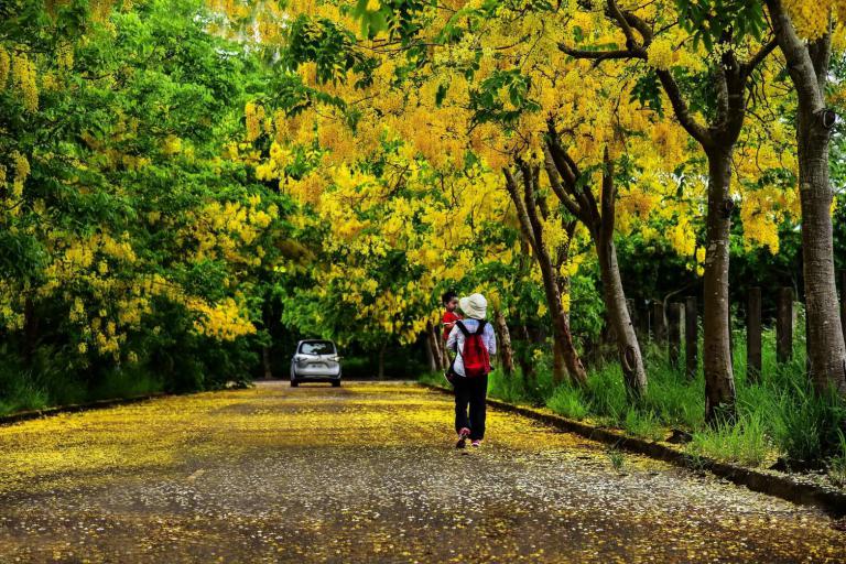 歸仁區公所攝影比賽選出 新歸仁之美十景誕生 5 20250918105652 b3e4a68e