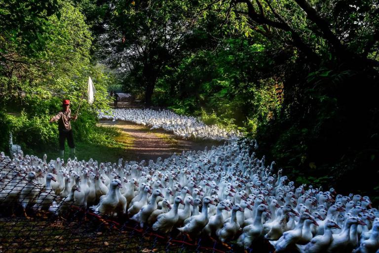 歸仁區公所攝影比賽選出 新歸仁之美十景誕生 6 20250918105740 248970f2