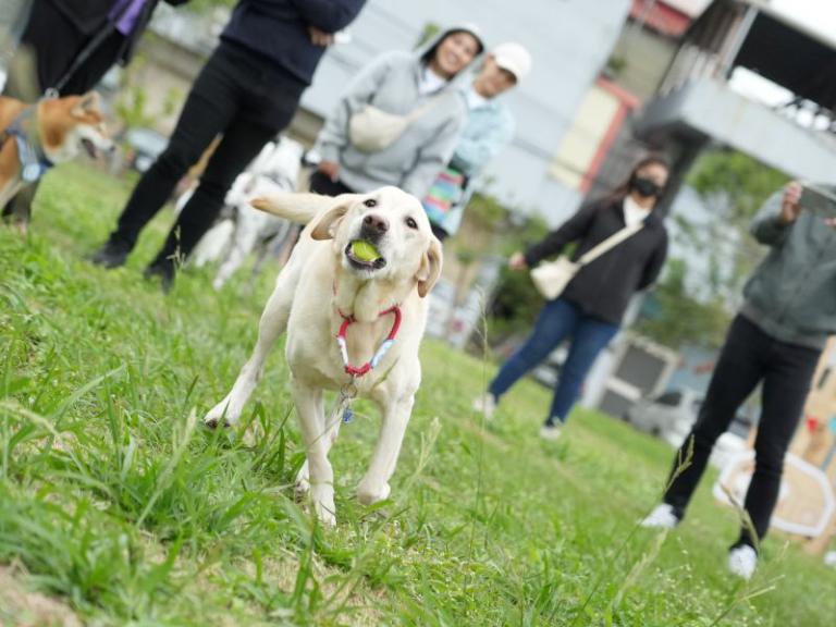 竹市毛小孩運動會9/21北大公園登場! 邱臣遠代理市長邀市民攜萌寵同樂加溫感情 4 20250919134742 2fc43d69