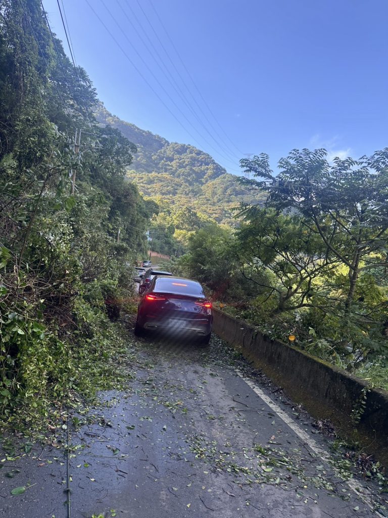 S 47898733 0 768x1024 2