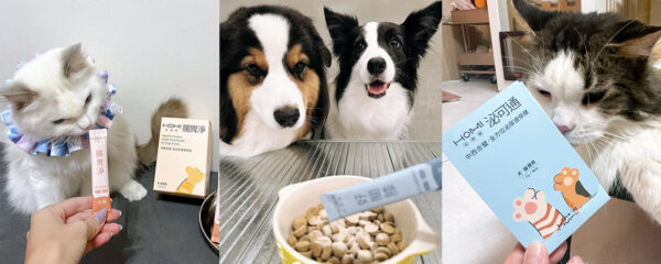 20250905161307 62 600x240 1