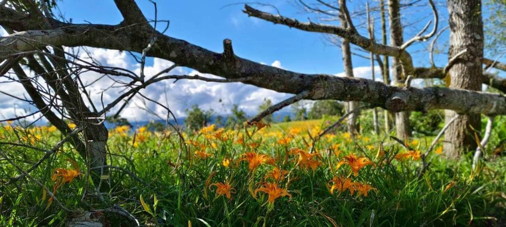 %E4%B8%8D%E7%9F%A5%E9%81%93 %E5%88%A5%E7%9A%84%E6%83%85%E4%BA%BA%E5%A6%82%E4%BD%95%E6%88%80%E6%84%9B 1024x461 1