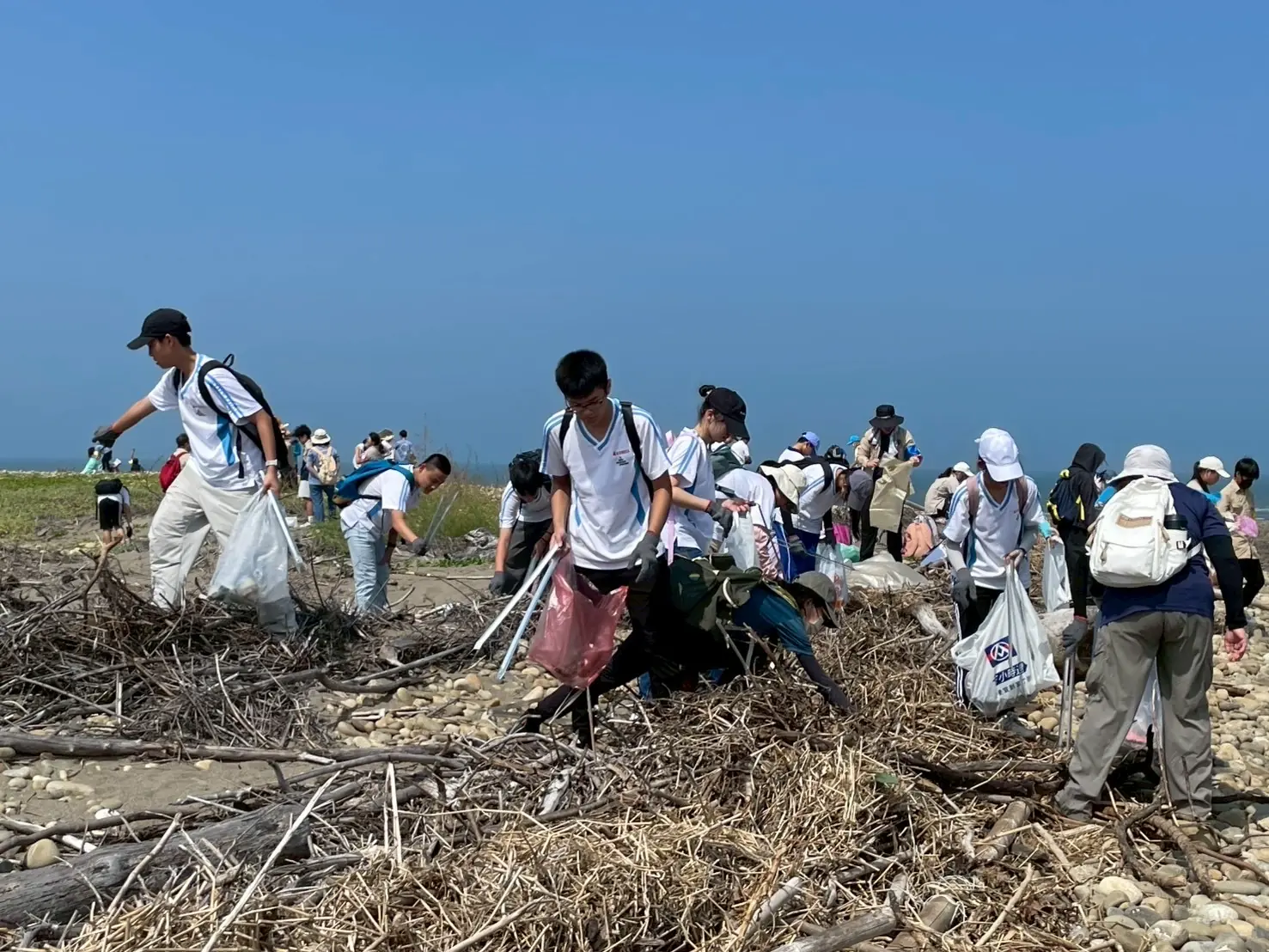 近千人響應淨灘 中市環保局推動「煙蒂不落地 減塑好生活」 4 %E6%94%9C%E6%89%8B%E6%B7%A8%E7%81%98
