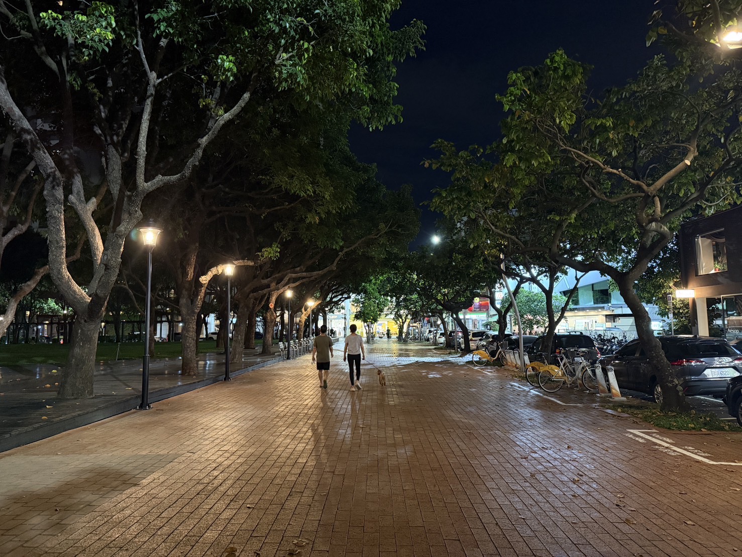 %E6%8F%90%E4%BE%9B%E5%AF%AC%E5%BB%A3%E9%A0%86%E6%9A%A2%E5%8F%8A%E5%B9%B3%E6%95%B4%E4%BA%BA%E8%A1%8C%E7%A9%BA%E9%96%93 %E6%98%8E%E4%BA%AE%E5%A4%9C%E9%96%93%E7%85%A7%E6%98%8E %E5%8F%8B%E5%96%84%E7%84%A1%E9%9A%9C%E7%A4%99%E7%92%B0%E5%A2%83%E5%8F%8A%E5%B1%A4%E6%AC%A1%E8%B1%90%E5%AF%8C%E7%9A%84%E7%B6%A0%E5%8C%96%E6%99%AF%E8%A7%80