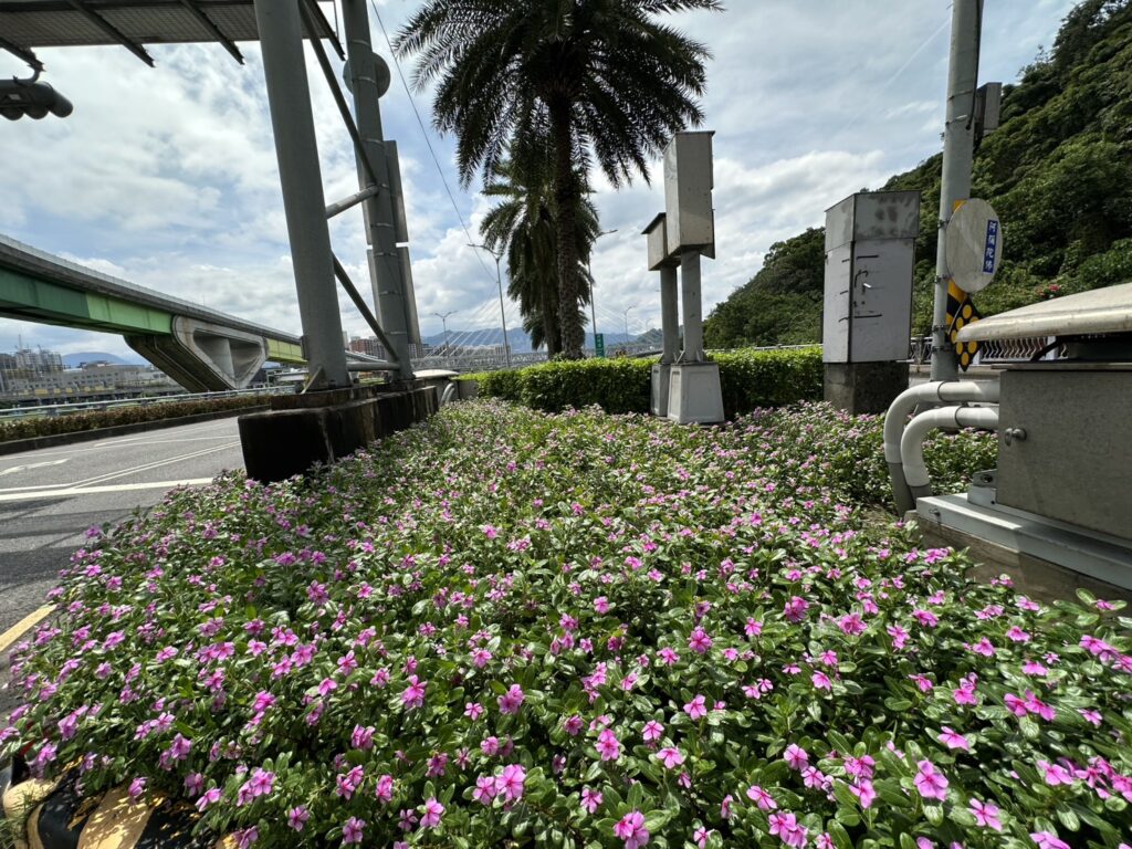 %E6%A7%BD%E5%8C%96%E5%B3%B6%E6%82%84%E7%84%B6%E6%8F%9B%E4%B8%8A%E6%B7%A1%E7%B2%89%E5%8F%AF%E6%84%9B%E7%9A%84%E6%97%A5%E6%97%A5%E6%98%A5%EF%BC%8C%E6%B8%85%E5%B9%BD%E8%89%B2%E5%BD%A9%E7%B9%BD%E7%B4%9B%E6%B8%B2%E6%9F%93%E6%96%BC%E9%83%BD%E5%B8%82%E7%B6%A0%E5%B8%B6%E4%B8%AD