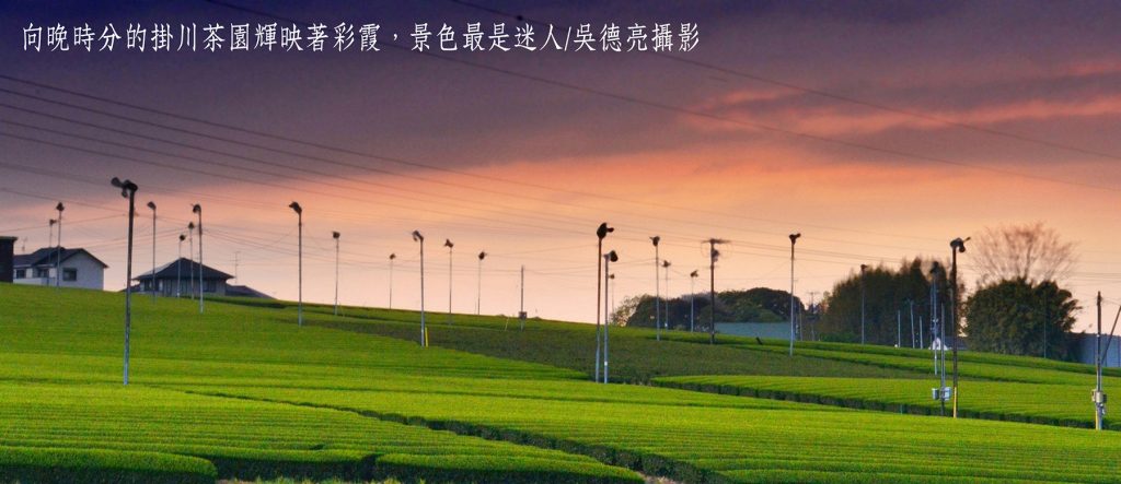 %E5%AF%8C%E5%A3%AB%E5%B1%B1%E4%B8%8B%E5%90%8D%E8%8C%B6%E9%A3%84%E9%A6%9900002 1024x443 1