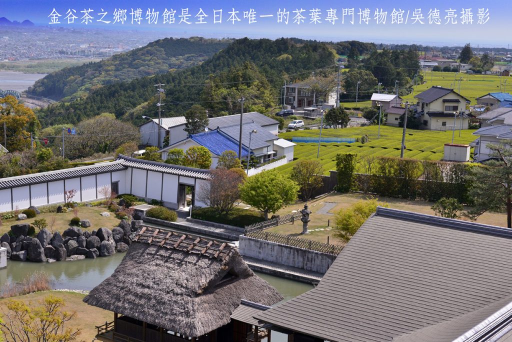 富士山下名茶飄香00009 - 報新聞 Mega News %E5%AF%8C%E5%A3%AB%E5%B1%B1%E4%B8%8B%E5%90%8D%E8%8C%B6%E9%A3%84%E9%A6%9900009 1024x684 1