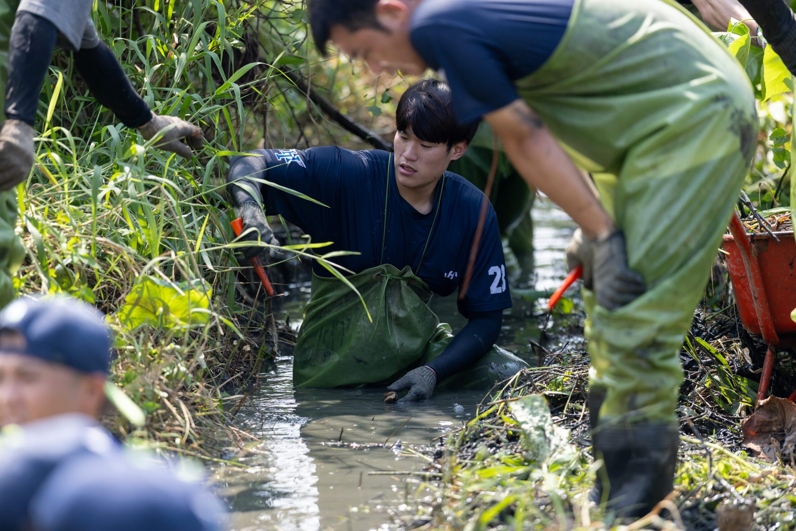 7c74a137 37a6 4379 aad5 46a3970e9dbf scaled