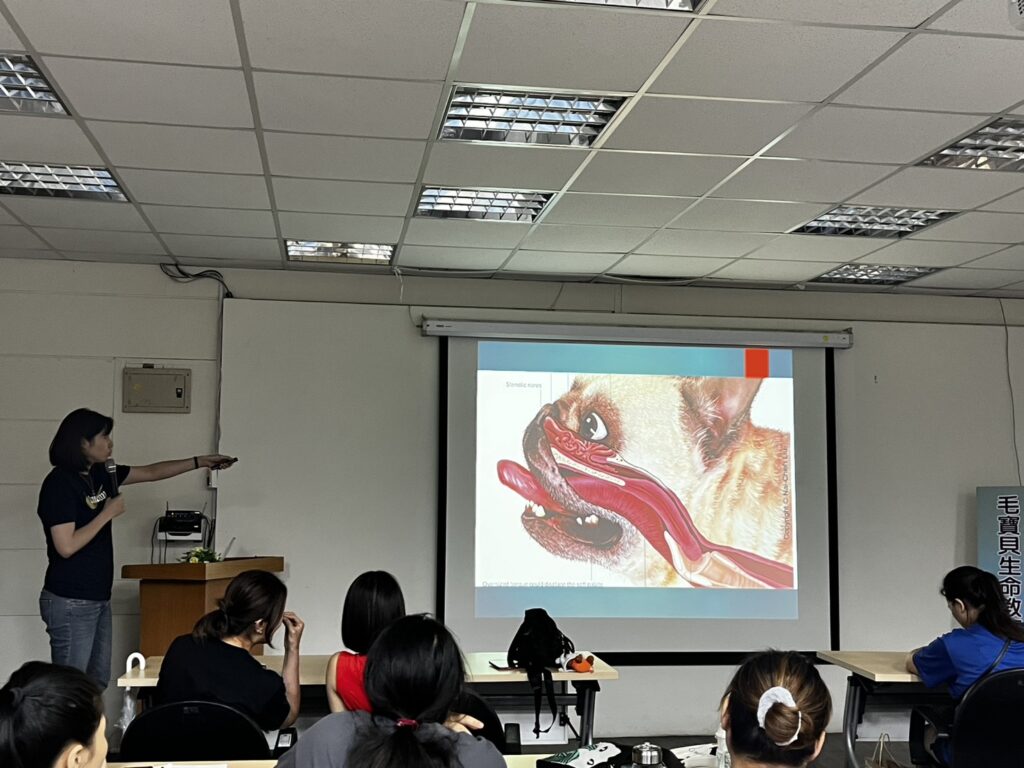 %E5%B0%88%E6%A5%AD%E7%8D%B8%E9%86%AB%E5%B8%AB%E8%AC%9B%E8%A7%A3%E5%8B%95%E7%89%A9%E7%94%9F%E7%90%86%E5%8F%8A%E7%85%A7%E8%AD%B7%E9%9C%80%E7%9F%A5