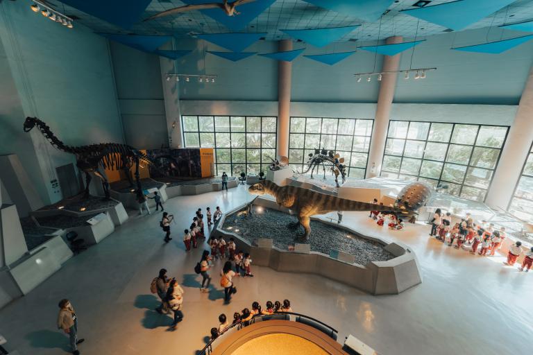 20251006225300 08e68f1d