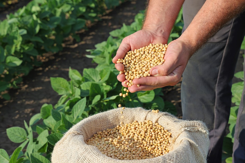 掌握永續飲食新浪潮!「2025 U.S. Soy Food Forum 美國黃豆食品國際趨勢論壇」解析黃豆營養與全球趨勢 5 6469e158 596d 469c 8108 7b956df33de1 175975932228915487303754319