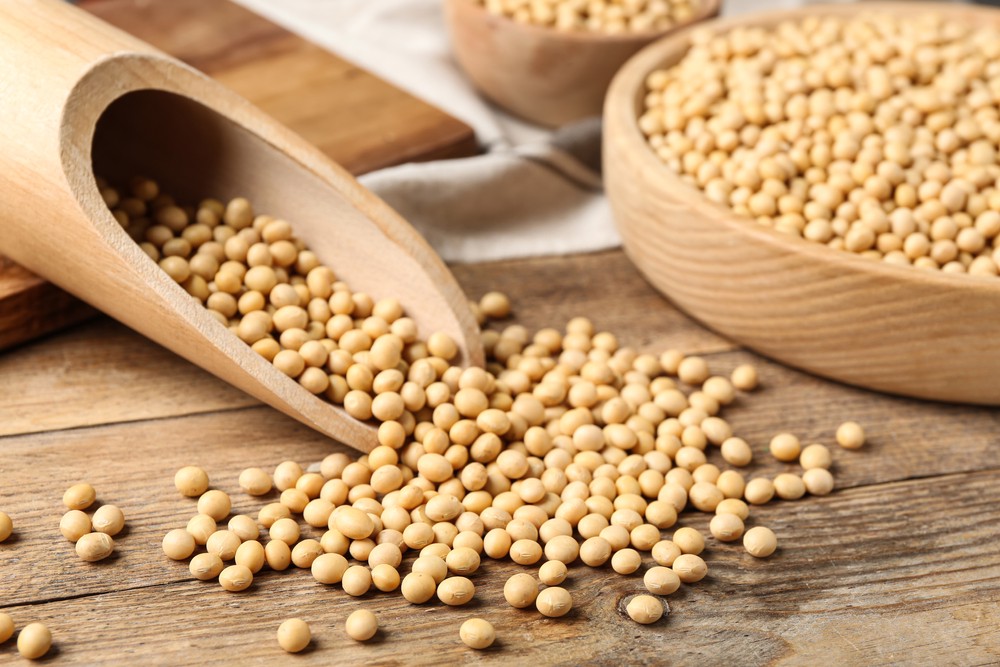 掌握永續飲食新浪潮!「2025 U.S. Soy Food Forum 美國黃豆食品國際趨勢論壇」解析黃豆營養與全球趨勢 6 6469e158 596d 469c 8108 7b956df33de1 175975937936638569207697313