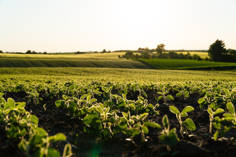 掌握永續飲食新浪潮!「2025 U.S. Soy Food Forum 美國黃豆食品國際趨勢論壇」解析黃豆營養與全球趨勢 7 6469e158 596d 469c 8108 7b956df33de1 175975939808626665501430242