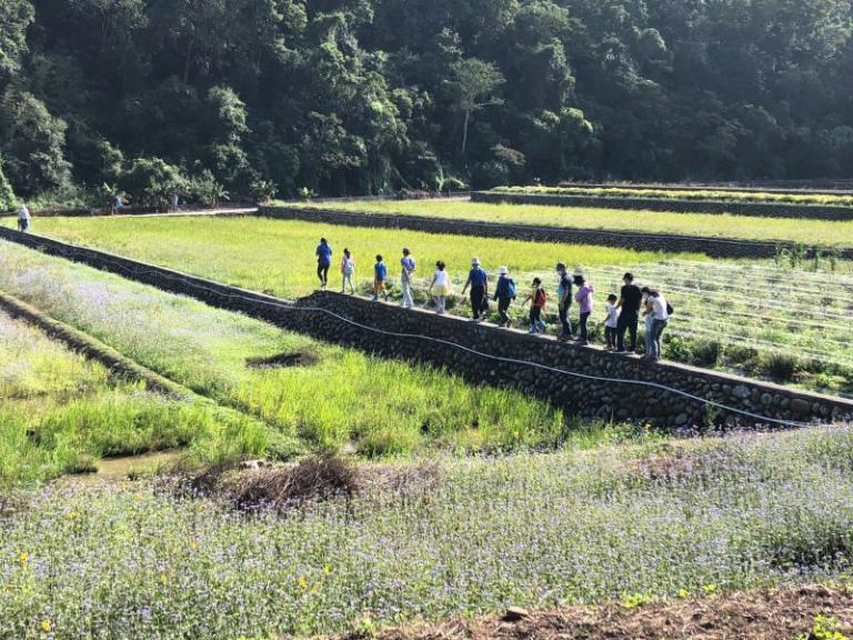 秋風起,走入稻浪中的三義 體驗一日里山友善農作 3 20251008183006 2b7e922e