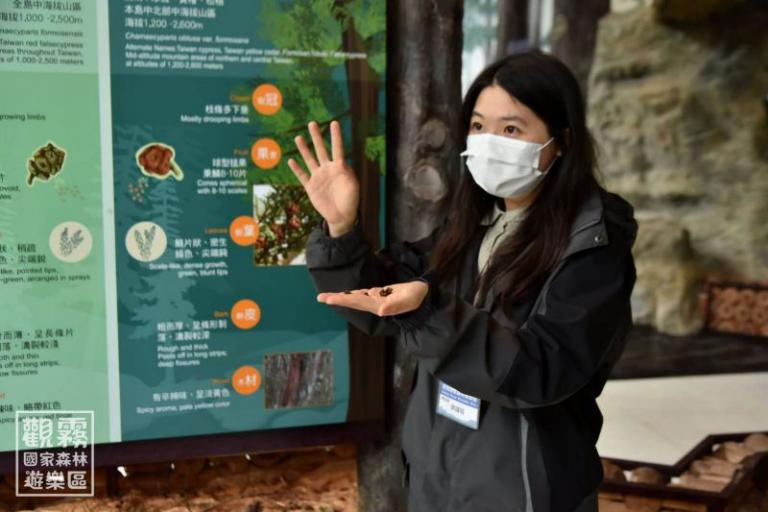 收藏一片秋日色彩 觀霧特色導覽與手作體驗 4 20251009132043 ffa587c1