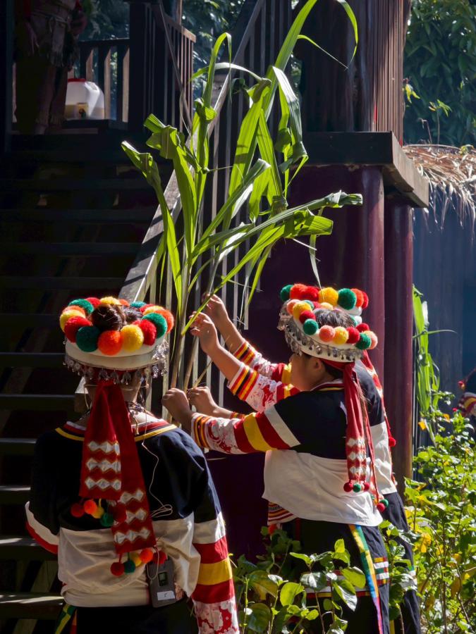 卡那卡那富族米貢祭登場 長幼齊心慶豐收 6 20251012233806 63db2201