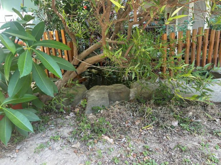 針對本縣轄內私立托嬰中心幼童不幸身亡事件 新竹縣社會處置立即處置 4 20251015143127 78574091