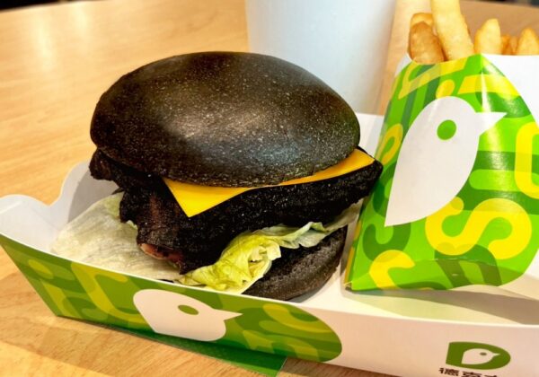 20251018100453 50 600x420 1