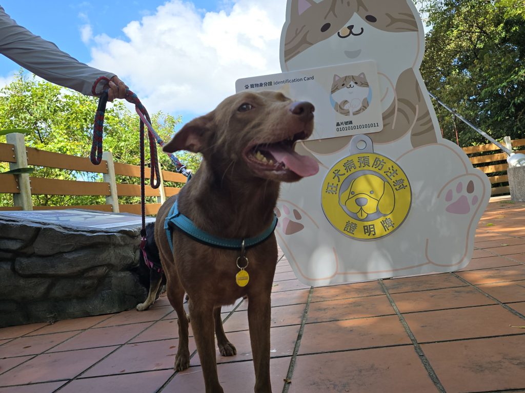 S__450887701 - 報新聞 Mega News S 450887701 1024x768 1