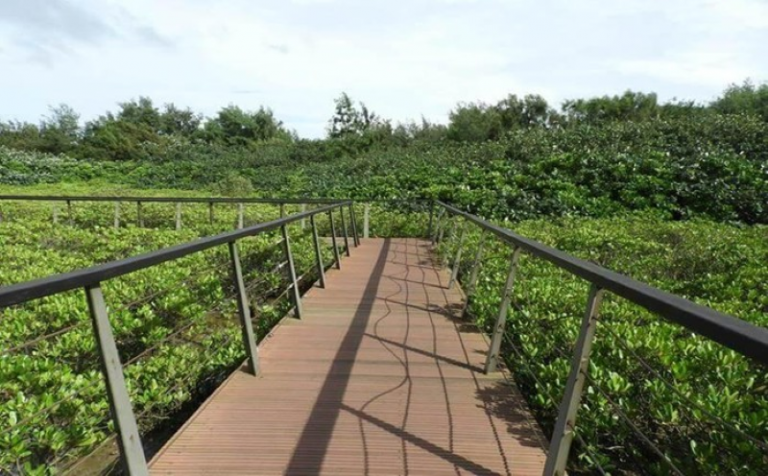 20251019223053 e2aa4425