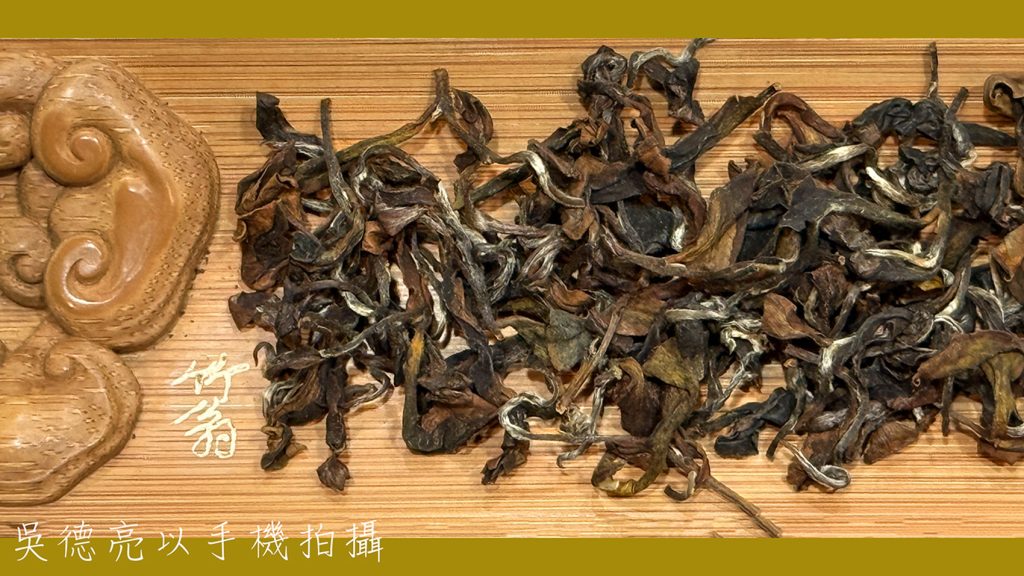 野放東方美人茶00002 - 報新聞 Mega News %E9%87%8E%E6%94%BE%E6%9D%B1%E6%96%B9%E7%BE%8E%E4%BA%BA%E8%8C%B600002 1024x576 1