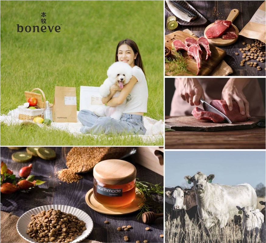 毛孩搶雙11補貨!本週台北世貿寵物展10/31-11/3超越雙11囤貨節 7 ee96609a a956 4b83 9488 d7baec2bf7bd 176155724633977710903339546