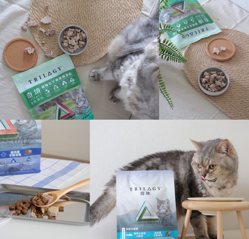 63970af7 b5aa 4371 ae5d c3fd0492ae6f 176155749248763903901105119