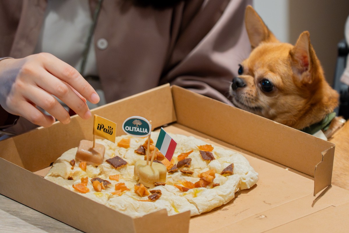 iPaw × 奧利塔推出「頂級橄欖油軟零食」 打造毛孩健康新食尚 8 4db046ad b4e4 4dac 997d 01b105228d71 176156729638316256408993951