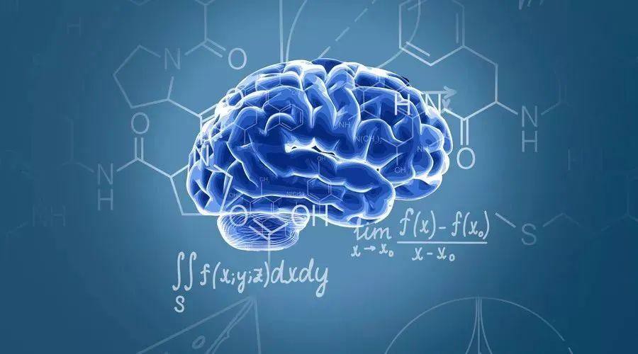 徐乃麟展現「不斷電」活力 營養師提醒 腦部營養是現代人的新課題 11 ff0043e9 d8f9 49b0 9907 9f14d236a80d 176162150837880383204663150