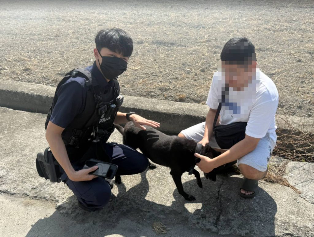 S 455172123 0 1024x773 1