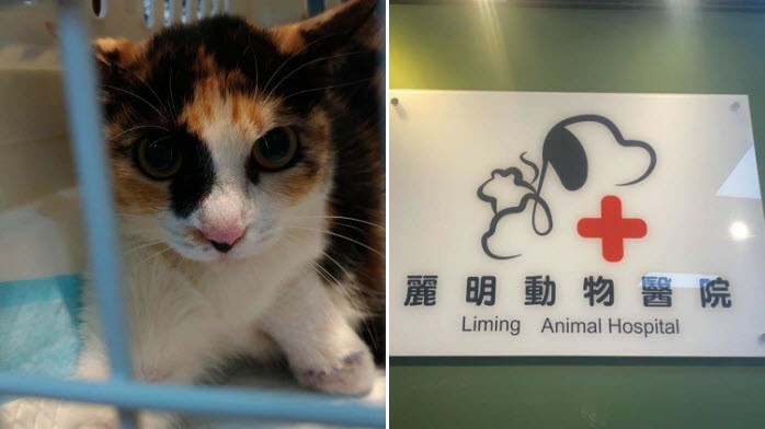 7883adb8 990c 4abb b96e f0955ef36e17 176170335492780761701255059