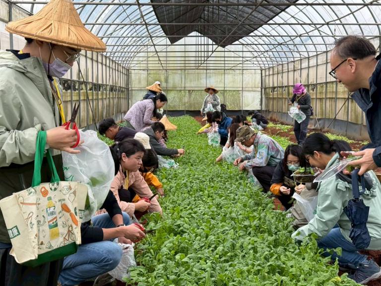 環教結合AI 桃園環保局推創意行銷工作坊 2 20251030172101 3d5cbaef