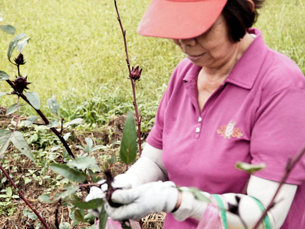 LINE_ALBUM_20251031_251031_171_Fotor - 報新聞 Mega News LINE ALBUM 20251031 251031 171 Fotor