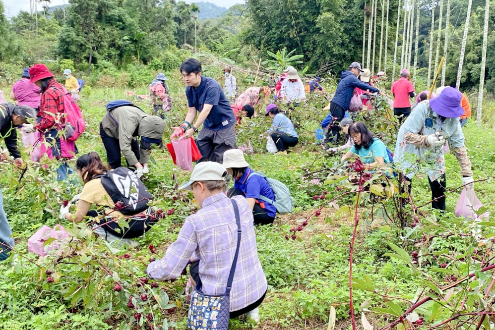 LINE_ALBUM_114_Fotor - 報新聞 Mega News LINE ALBUM 114 Fotor