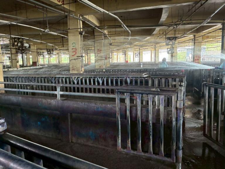 20251101172313 c1445176