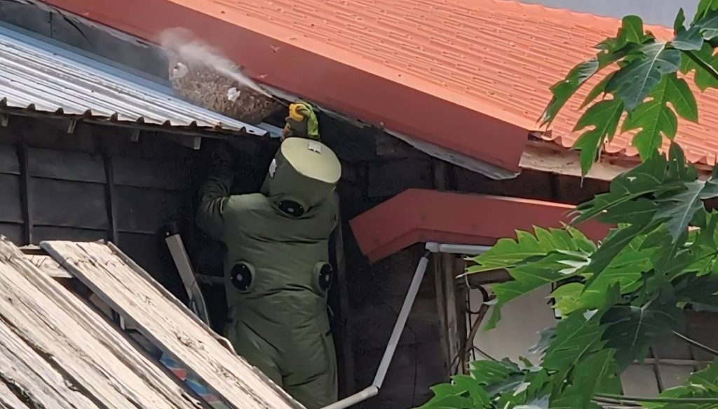 S__457629709 - 報新聞 Mega News S 457629709 1024x583 1